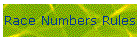 Race Numbers Rules